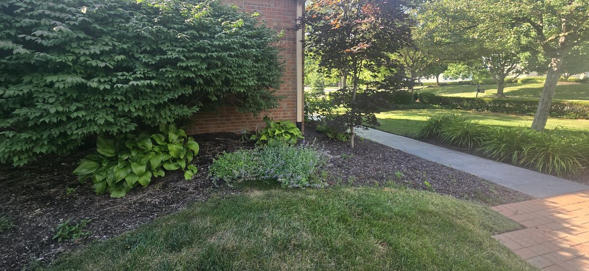 Natural stone rock bed garden installation