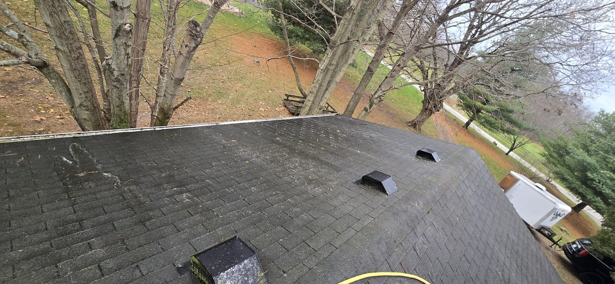 Professional stone and paver work
