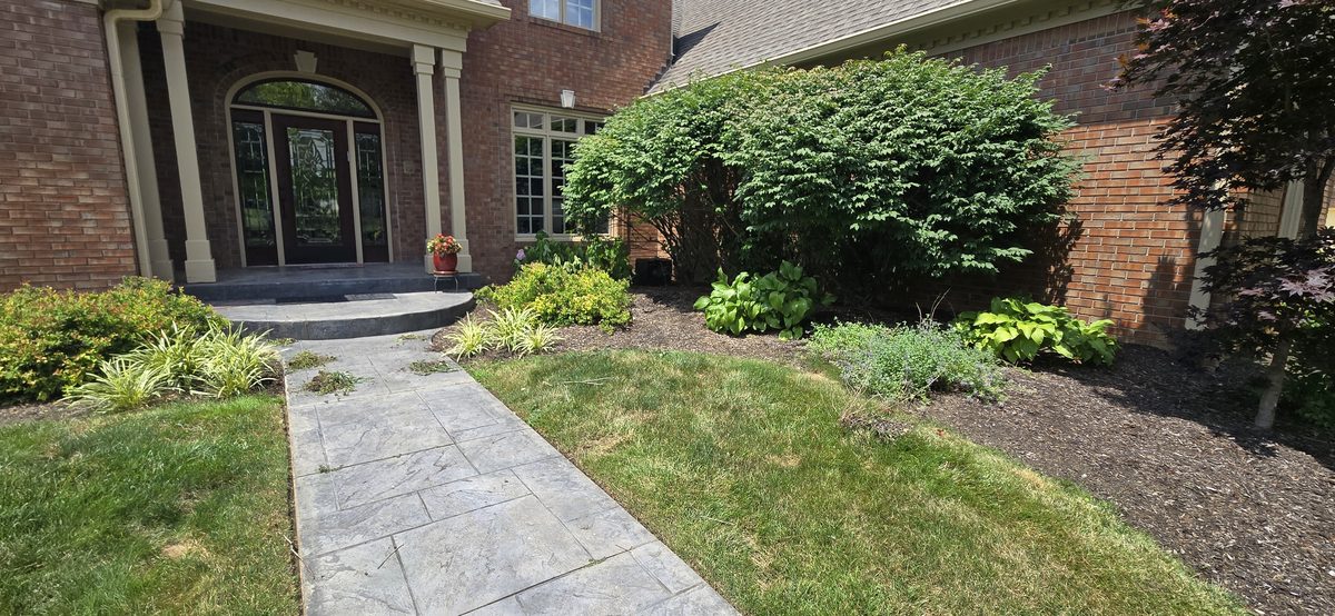 Professional bush and shrub trimming