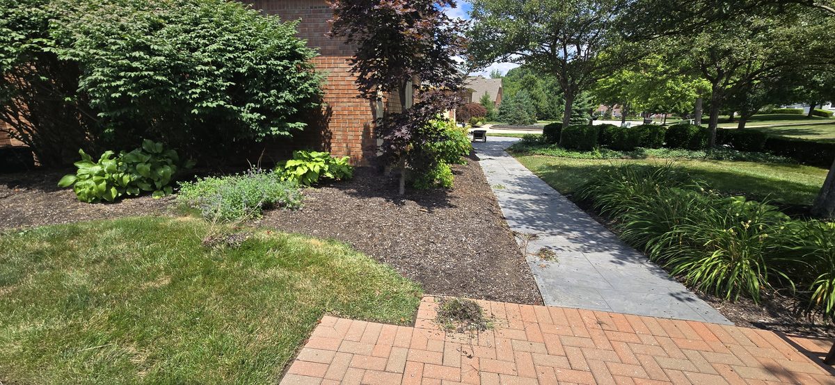 Professional bush and shrub trimming