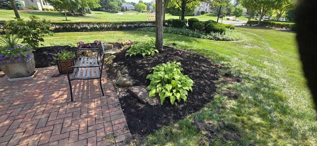 Professional bush and shrub trimming