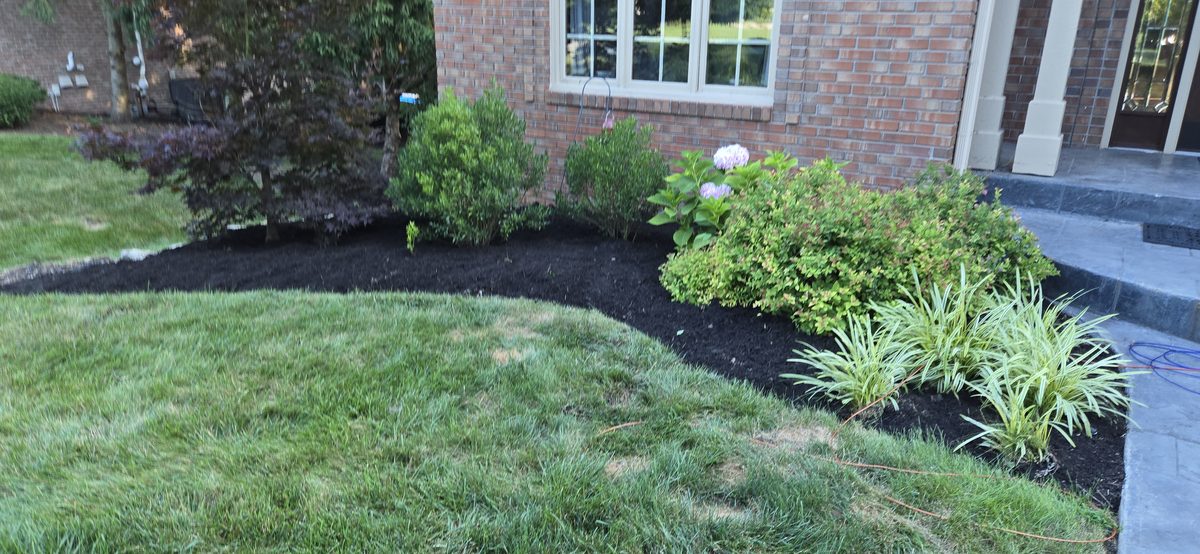 Fresh mulch around landscape plants