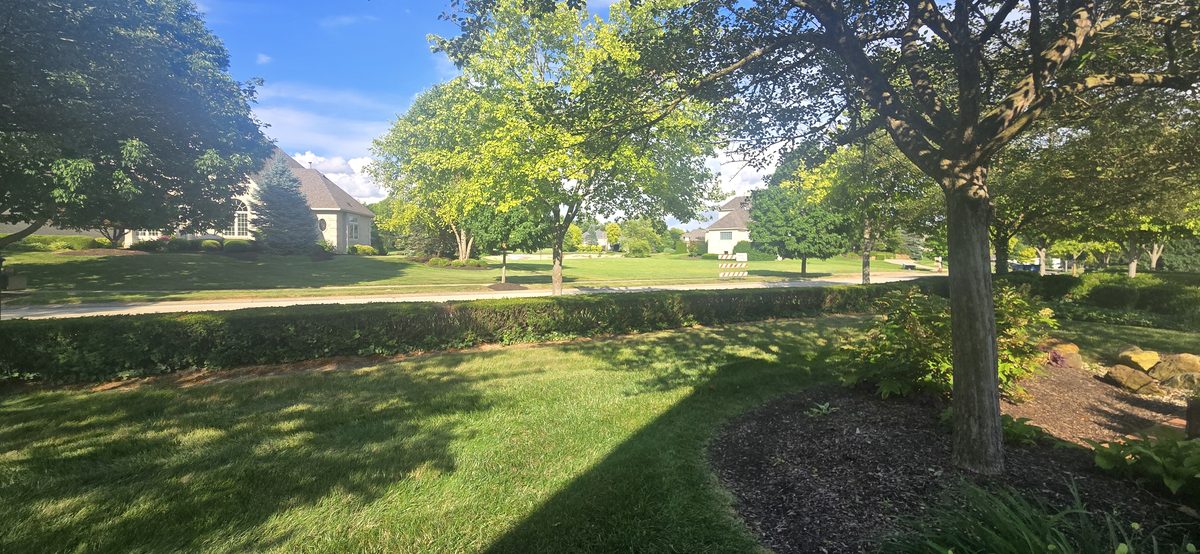 Landscaped front yard flower beds