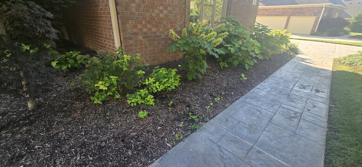 Fresh mulch beds along stamped concrete walkway