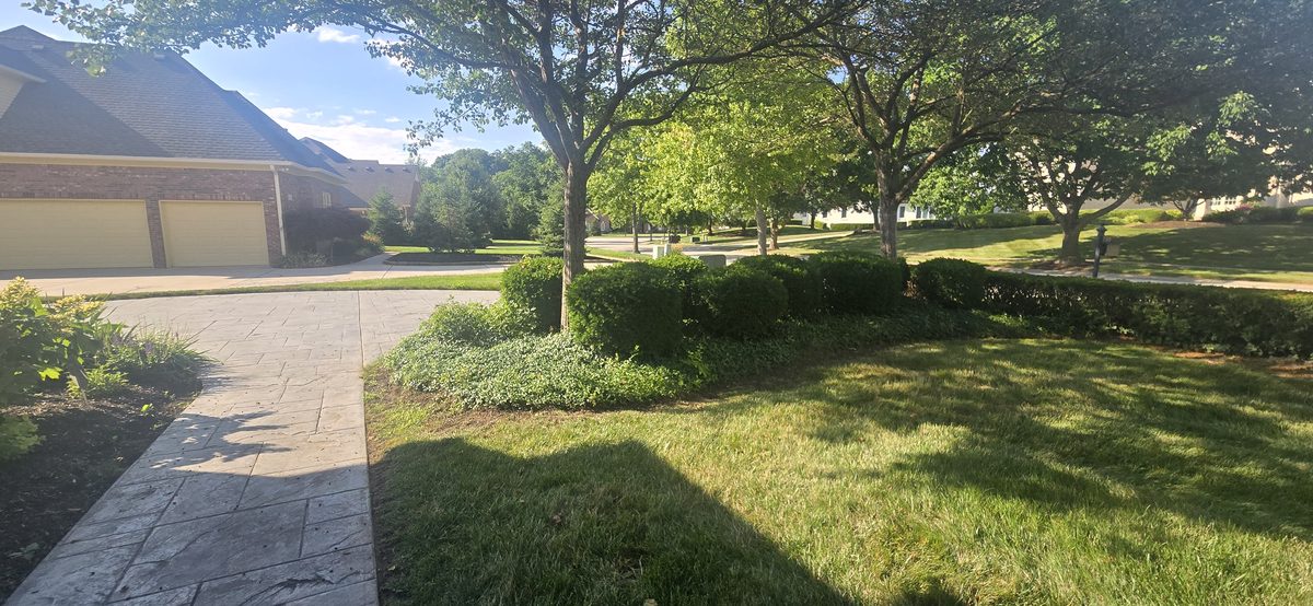 Fresh mulch beds along stamped concrete walkway