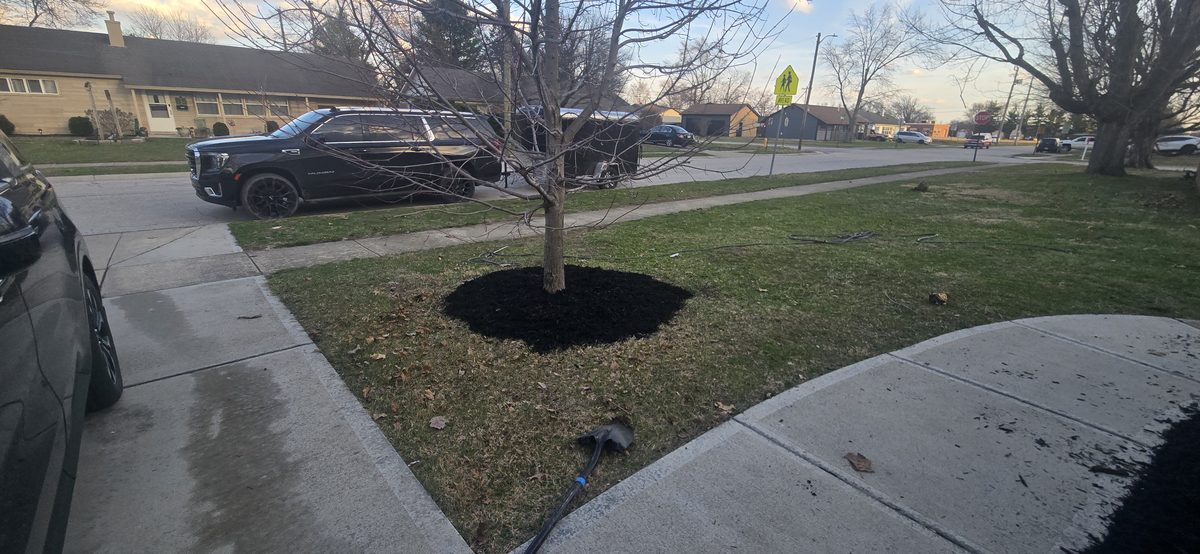 Spring mulch installation service