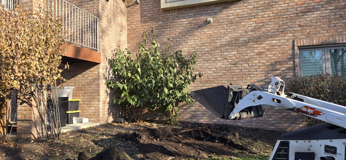 Winter yard cleanup and maintenance