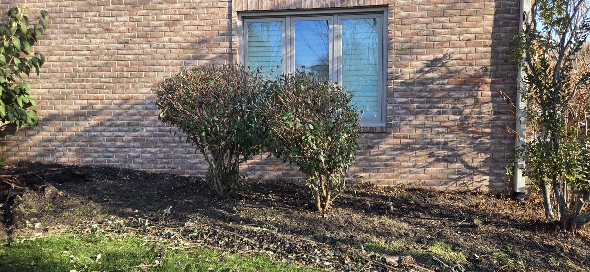 Winter yard cleanup and maintenance