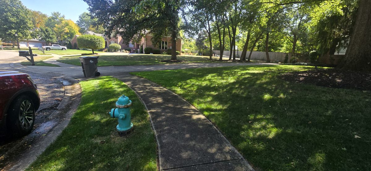 Neighborhood sidewalk after cleaning