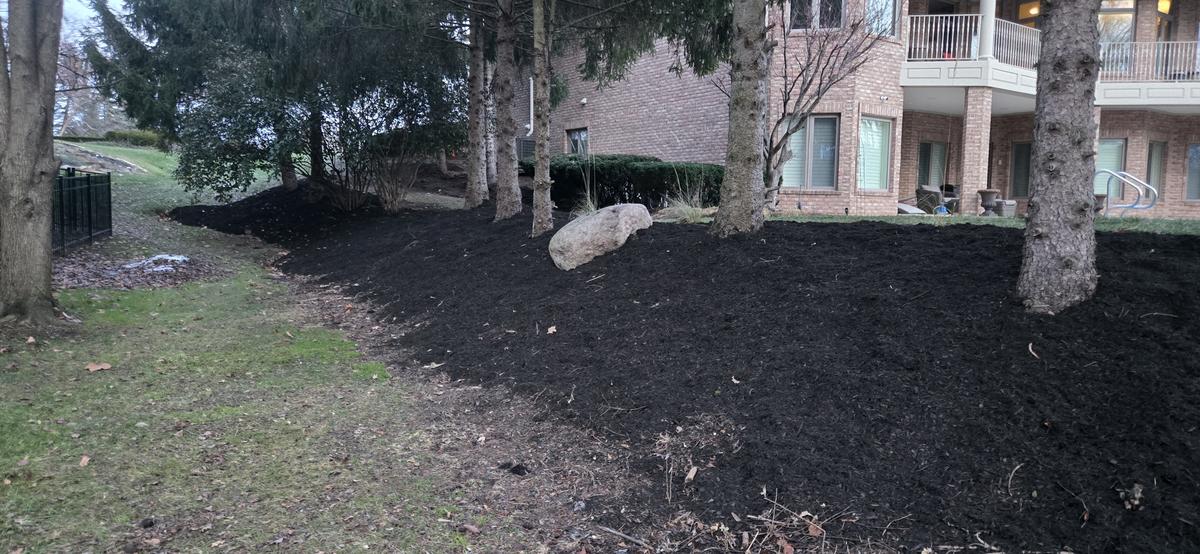 Large-scale mulch installation around trees