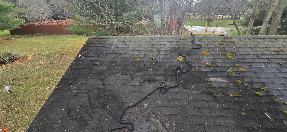 Roof before soft washing